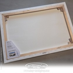 Toile Trap' Dodge Challenger Vanishing Point