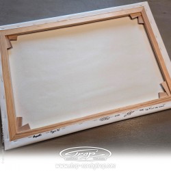 Toile Trap' Bugatti Type 35