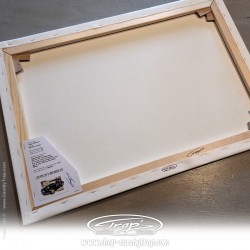 Toile Trap' Citroën Traction 11 BL FFI